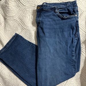 Lane Bryant Jeans 26S